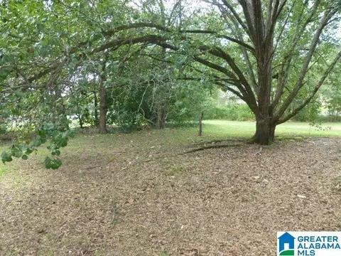 316 18th St E, Jasper, AL 35501 photo 6