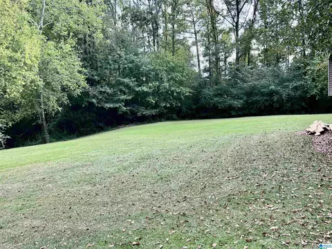 1565 Brackett Loop Rd, Mount Olive, AL 35117 photo 8
