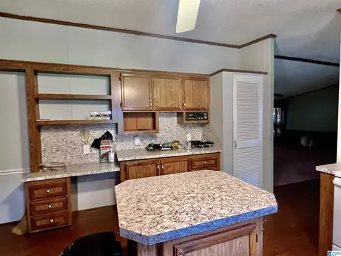 1565 Brackett Loop Rd, Mount Olive, AL 35117 photo 18