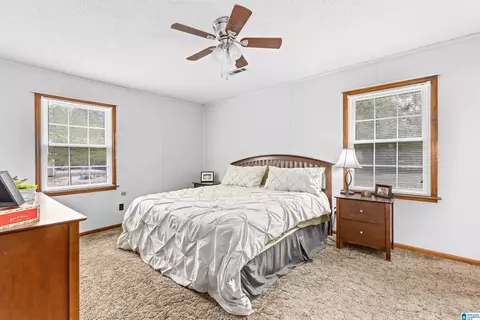 242 Pineview Dr, Jemison, AL 35085 photo 20