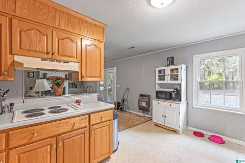 242 Pineview Dr, Jemison, AL 35085 photo 12