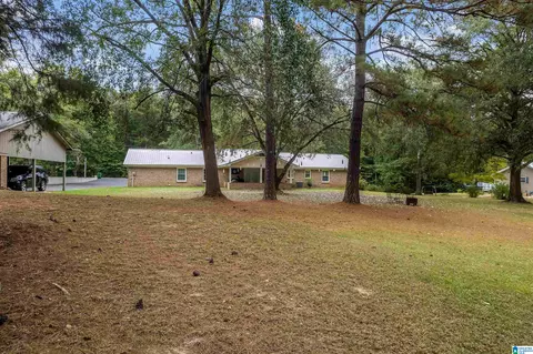 242 Pineview Dr, Jemison, AL 35085 photo 38