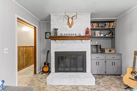 242 Pineview Dr, Jemison, AL 35085 photo 8