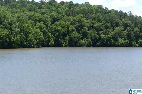 lot20 Foster Cove Dr #20, Lineville, AL 36266