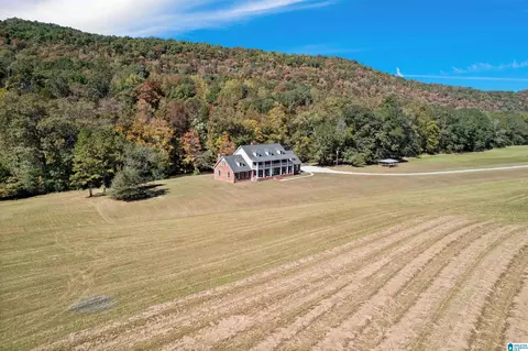 934 Fred Walker Rd, Oneonta, AL 35121 photo 4