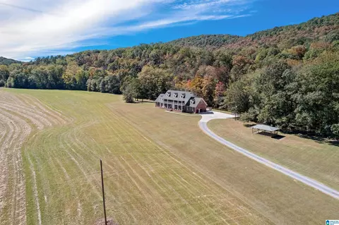 934 Fred Walker Rd, Oneonta, AL 35121 photo 6
