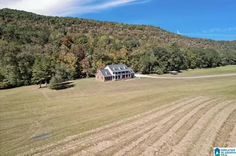 934 Fred Walker Rd, Oneonta, AL 35121 photo 75