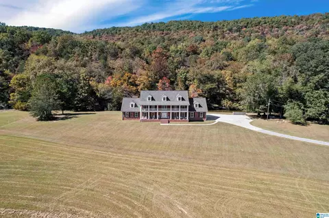 934 Fred Walker Rd, Oneonta, AL 35121 photo 5