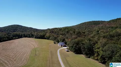 934 Fred Walker Rd, Oneonta, AL 35121 photo 73