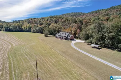 934 Fred Walker Rd, Oneonta, AL 35121 photo 77