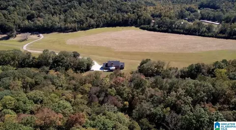 934 Fred Walker Rd, Oneonta, AL 35121 photo 74