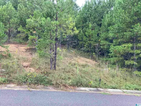 1119 Springhill Ln #ESTATE  5, Birmingham, AL 35242