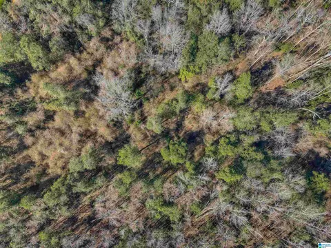 807 Yellowleaf Rd #1, Clanton, AL 35045 photo 6