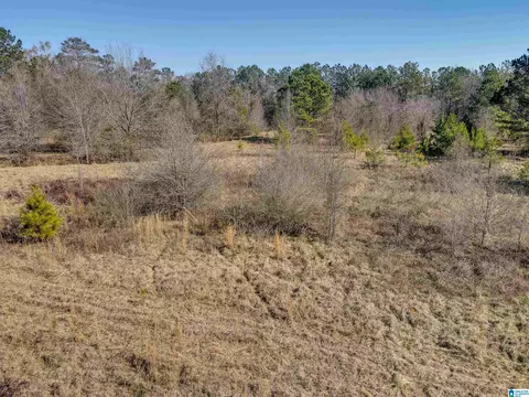 807 Yellowleaf Rd #1, Clanton, AL 35045 photo 15