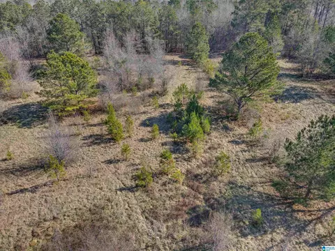 807 Yellowleaf Rd #1, Clanton, AL 35045 photo 10