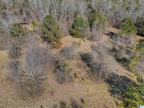 807 Yellowleaf Rd #1, Clanton, AL 35045 photo 11