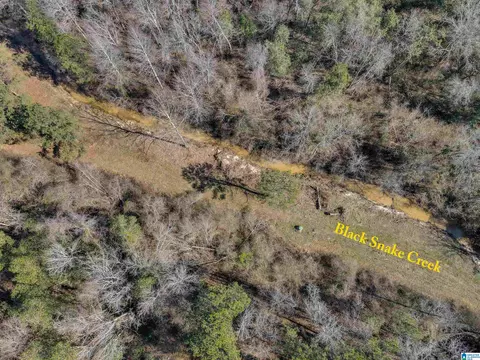 807 Yellowleaf Rd #1, Clanton, AL 35045 photo 8