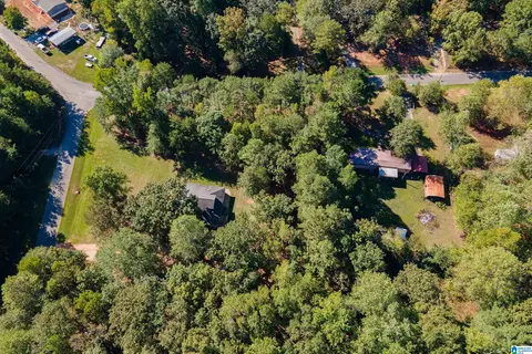 22370 Trace Rd, Mc Calla, AL 35111 photo 47