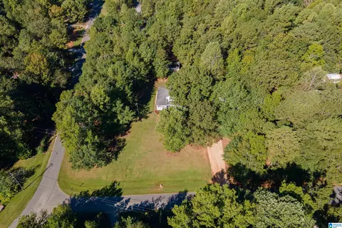 22370 Trace Rd, Mc Calla, AL 35111 photo 45
