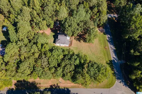 22370 Trace Rd, Mc Calla, AL 35111 photo 51