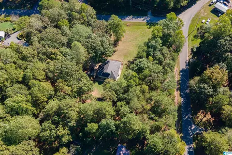 22370 Trace Rd, Mc Calla, AL 35111 photo 49