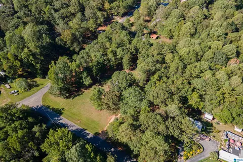 22370 Trace Rd, Mc Calla, AL 35111 photo 46