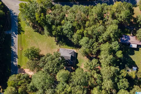 22370 Trace Rd, Mc Calla, AL 35111 photo 48