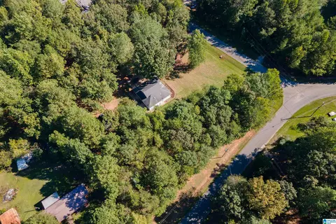 22370 Trace Rd, Mc Calla, AL 35111 photo 50