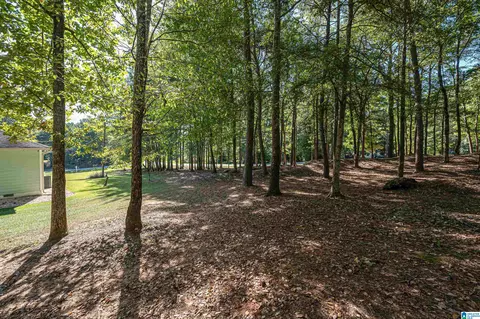 22370 Trace Rd, Mc Calla, AL 35111 photo 38