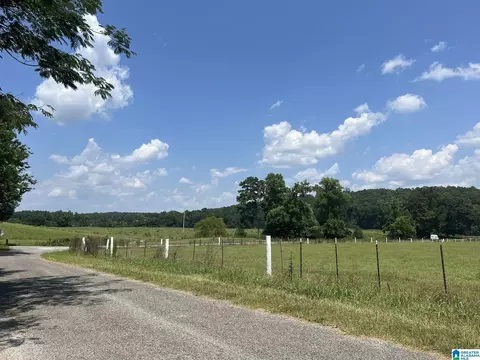 900 Valley Dr, Steele, AL 35987 photo 25