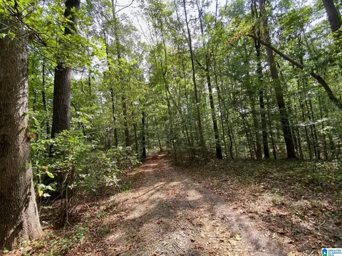 900 Valley Dr, Steele, AL 35987 photo 28