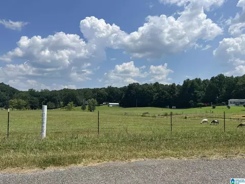 900 Valley Dr, Steele, AL 35987 photo 26