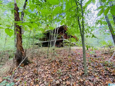 900 Valley Dr, Steele, AL 35987 photo 31