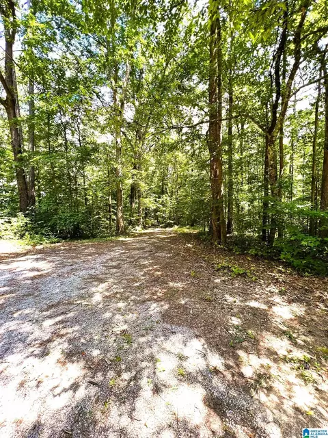 900 Valley Dr, Steele, AL 35987 photo 19
