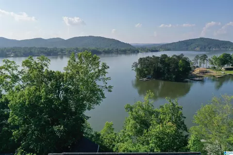 1250 Mohawk Trl, Ohatchee, AL 36271 photo 2