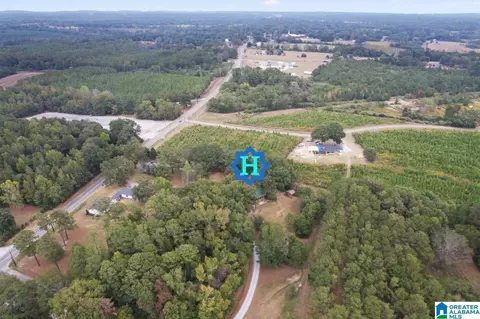 95 Bay St, Clanton, AL 35045 photo 42
