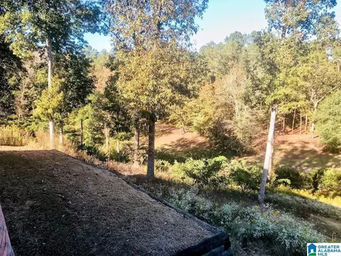 1505 Overlook Pt, Warrior, AL 35180 photo 37