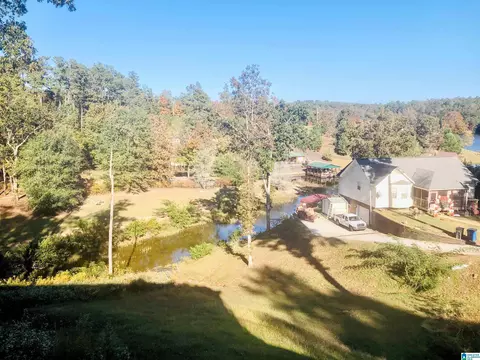 1505 Overlook Pt, Warrior, AL 35180 photo 39