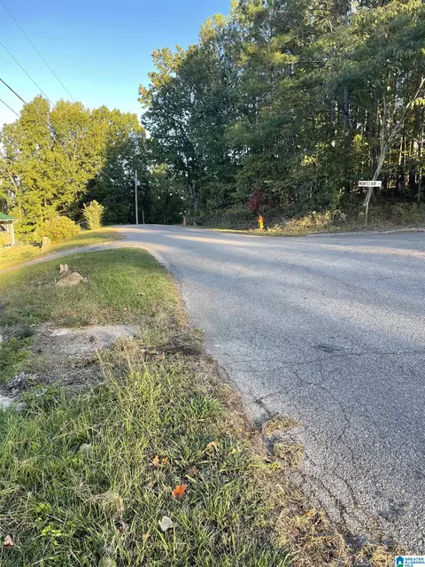 0 Emi Gil Rd #14, Oxford, AL 36203