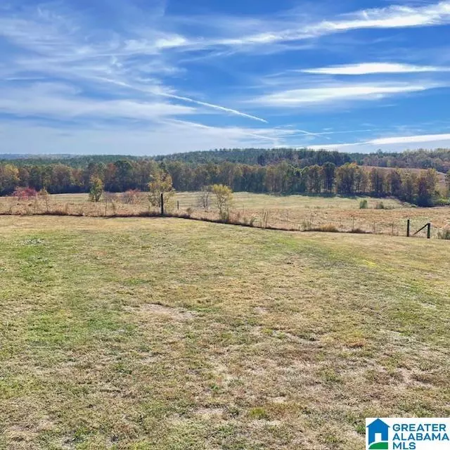  400 Hutchens Dr, Oneonta, AL 35121 photo 5