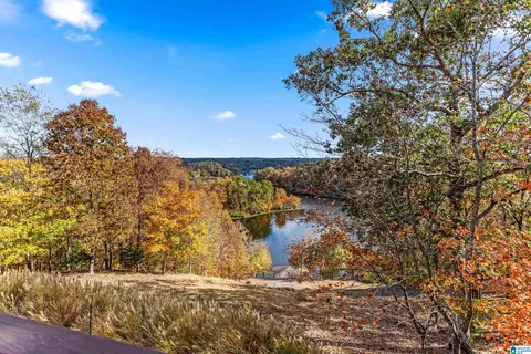 55 Lakeshore Loop, Oneonta, AL 35121 photo 25