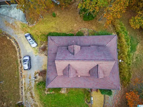 55 Lakeshore Loop, Oneonta, AL 35121 photo 9
