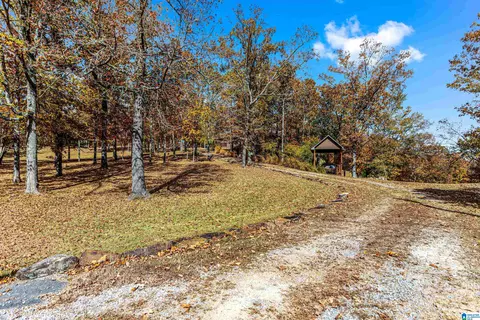 55 Lakeshore Loop, Oneonta, AL 35121 photo 27