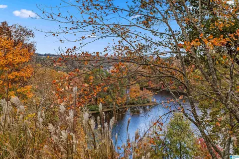 55 Lakeshore Loop, Oneonta, AL 35121 photo 46