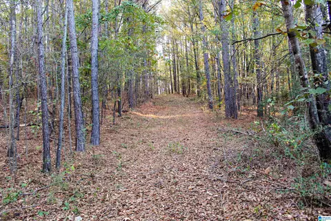 1624 Fleming Rd, Vincent, AL 35178 photo 7