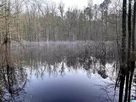 1624 Fleming Rd, Vincent, AL 35178 photo 45
