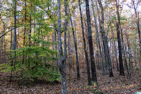 1624 Fleming Rd, Vincent, AL 35178 photo 8
