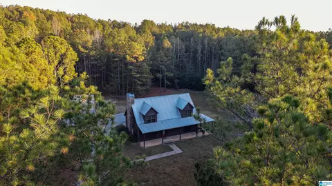 1624 Fleming Rd, Vincent, AL 35178 photo 49