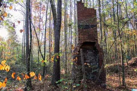 1624 Fleming Rd, Vincent, AL 35178 photo 40