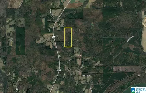 1624 Fleming Rd, Vincent, AL 35178 photo 54